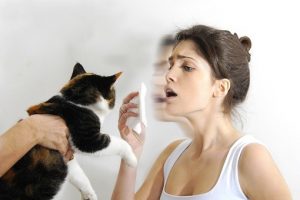cat-allergies (1)